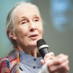 Jane Goodall - HP