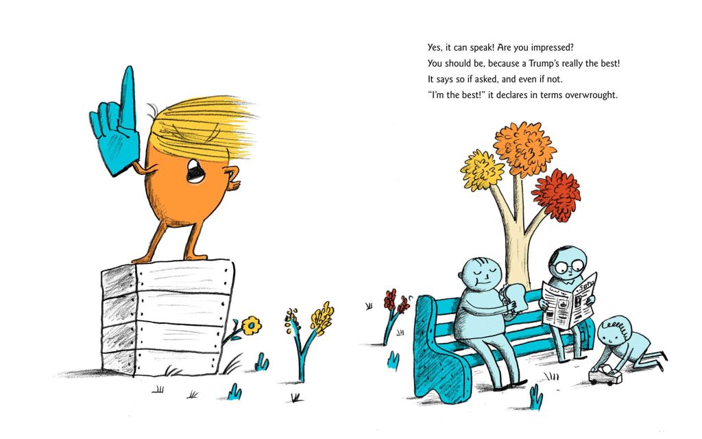 a-childs-first-book-of-trump-9781481488006-in05