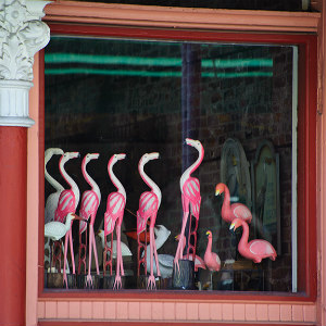 flamingo_hp